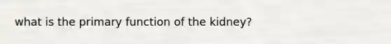 what is the primary function of the kidney?