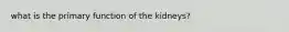 what is the primary function of the kidneys?