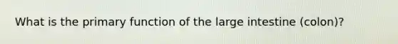What is the primary function of the large intestine (colon)?