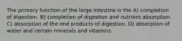 The primary function of the large intestine is the A) completion of digestion. B) completion of digestion and nutrient absorption. C) absorption of the end products of digestion. D) absorption of water and certain minerals and vitamins.