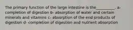 The primary function of the large intestine is the__________. a- completion of digestion b- absorption of water and certain minerals and vitamins c- absorption of the end products of digestion d- completion of digestion and nutrient absorption