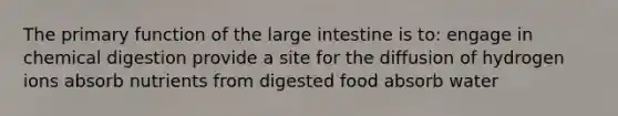 The primary function of the large intestine is to: engage in chemical digestion provide a site for the diffusion of hydrogen ions absorb nutrients from digested food absorb water