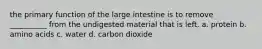 the primary function of the large intestine is to remove __________ from the undigested material that is left. a. protein b. amino acids c. water d. carbon dioxide