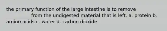 the primary function of the large intestine is to remove __________ from the undigested material that is left. a. protein b. amino acids c. water d. carbon dioxide