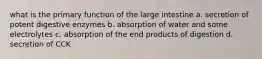 what is the primary function of the large intestine a. secretion of potent digestive enzymes b. absorption of water and some electrolytes c. absorption of the end products of digestion d. secretion of CCK