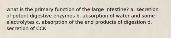 what is the primary function of the large intestine? a. secretion of potent digestive enzymes b. absorption of water and some electrolytes c. absorption of the end products of digestion d. secretion of CCK