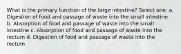 What is the primary function of the large intestine? Select one: a. Digestion of food and passage of waste into the small intestine b. Absorption of food and passage of waste into the small intestine c. Absorption of food and passage of waste into the rectum d. Digestion of food and passage of waste into the rectum