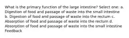 What is the primary function of the large intestine? Select one: a. Digestion of food and passage of waste into the small intestine b. Digestion of food and passage of waste into the rectum c. Absorption of food and passage of waste into the rectum d. Absorption of food and passage of waste into the small intestine Feedback