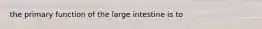 the primary function of the large intestine is to