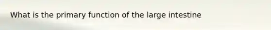 What is the primary function of the <a href='https://www.questionai.com/knowledge/kGQjby07OK-large-intestine' class='anchor-knowledge'>large intestine</a>