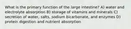 What is the primary function of the large intestine? A) water and electrolyte absorption B) storage of vitamins and minerals C) secretion of water, salts, sodium bicarbonate, and enzymes D) protein digestion and nutrient absorption