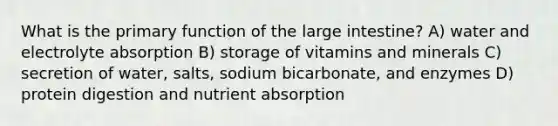 What is the primary function of the large intestine? A) water and electrolyte absorption B) storage of vitamins and minerals C) secretion of water, salts, sodium bicarbonate, and enzymes D) protein digestion and nutrient absorption