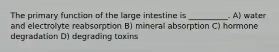 The primary function of the large intestine is __________. A) water and electrolyte reabsorption B) mineral absorption C) hormone degradation D) degrading toxins