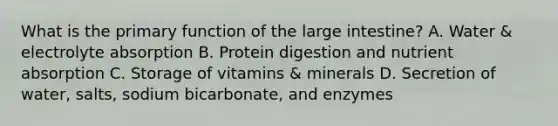 What is the primary function of the <a href='https://www.questionai.com/knowledge/kGQjby07OK-large-intestine' class='anchor-knowledge'>large intestine</a>? A. Water & electrolyte absorption B. Protein digestion and nutrient absorption C. Storage of vitamins & minerals D. Secretion of water, salts, sodium bicarbonate, and enzymes