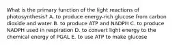 What is the primary function of the light reactions of photosynthesis? A. to produce energy-rich glucose from carbon dioxide and water B. to produce ATP and NADPH C. to produce NADPH used in respiration D. to convert light energy to the chemical energy of PGAL E. to use ATP to make glucose