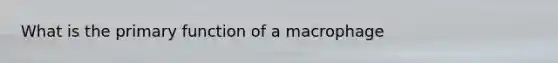 What is the primary function of a macrophage