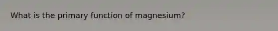 What is the primary function of magnesium?