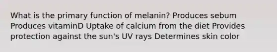 What is the primary function of melanin? Produces sebum Produces vitaminD Uptake of calcium from the diet Provides protection against the sun's UV rays Determines skin color