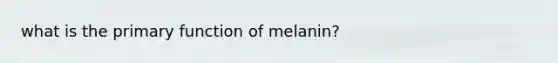 what is the primary function of melanin?