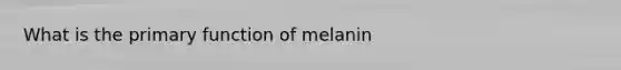 What is the primary function of melanin