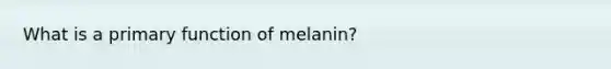 What is a primary function of melanin?