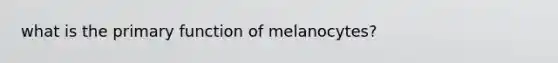 what is the primary function of melanocytes?