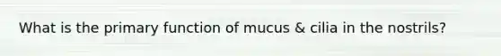 What is the primary function of mucus & cilia in the nostrils?