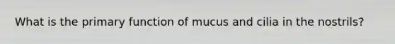 What is the primary function of mucus and cilia in the nostrils?