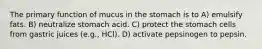 The primary function of mucus in the stomach is to A) emulsify fats. B) neutralize stomach acid. C) protect the stomach cells from gastric juices (e.g., HCl). D) activate pepsinogen to pepsin.