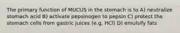 The primary function of MUCUS in the stomach is to A) neutralize stomach acid B) activate pepsinogen to pepsin C) protect the stomach cells from gastric juices (e.g, HCl) D) emulsify fats