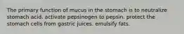 The primary function of mucus in the stomach is to neutralize stomach acid. activate pepsinogen to pepsin. protect the stomach cells from gastric juices. emulsify fats.