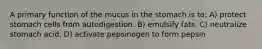 A primary function of the mucus in the stomach is to: A) protect stomach cells from autodigestion. B) emulsify fats. C) neutralize stomach acid. D) activate pepsinogen to form pepsin