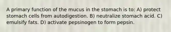 A primary function of the mucus in the stomach is to: A) protect stomach cells from autodigestion. B) neutralize stomach acid. C) emulsify fats. D) activate pepsinogen to form pepsin.