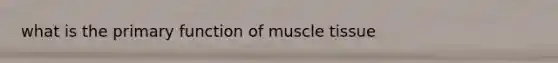 what is the primary function of muscle tissue