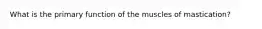 What is the primary function of the muscles of mastication?