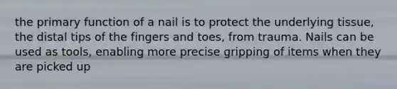 the primary function of a nail is to protect the underlying tissue, the distal tips of the fingers and toes, from trauma. Nails can be used as tools, enabling more precise gripping of items when they are picked up