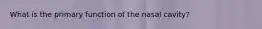 What is the primary function of the nasal cavity?