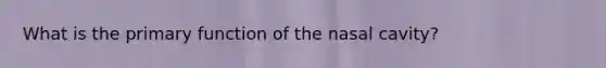 What is the primary function of the nasal cavity?