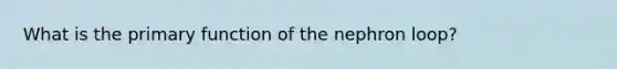 What is the primary function of the nephron loop?