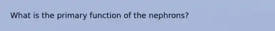 What is the primary function of the nephrons?