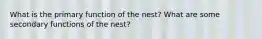 What is the primary function of the nest? What are some secondary functions of the nest?