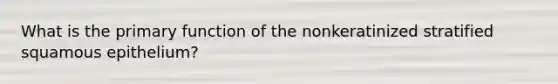 What is the primary function of the nonkeratinized stratified squamous epithelium?