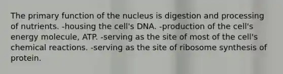 The primary function of the nucleus is digestion and processing of nutrients. -housing the cell's DNA. -production of the cell's energy molecule, ATP. -serving as the site of most of the cell's <a href='https://www.questionai.com/knowledge/kc6NTom4Ep-chemical-reactions' class='anchor-knowledge'>chemical reactions</a>. -serving as the site of ribosome synthesis of protein.