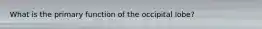 What is the primary function of the occipital lobe?