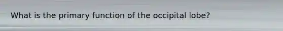 What is the primary function of the occipital lobe?