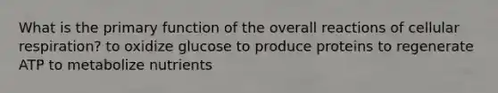 What is the primary function of the overall reactions of cellular respiration? to oxidize glucose to produce proteins to regenerate ATP to metabolize nutrients