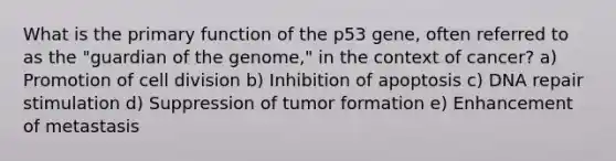 What is the primary function of the p53 gene, often referred to as the "guardian of the genome," in the context of cancer? a) Promotion of cell division b) Inhibition of apoptosis c) DNA repair stimulation d) Suppression of tumor formation e) Enhancement of metastasis