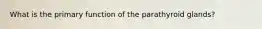 What is the primary function of the parathyroid glands?