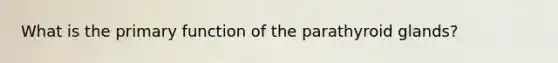 What is the primary function of the parathyroid glands?