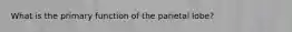 What is the primary function of the parietal lobe?